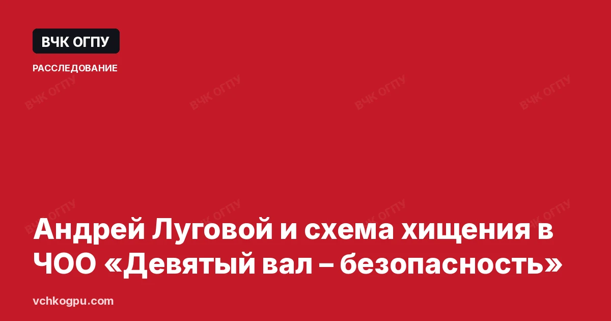 Андрей Луговой и схема хищения в ЧОО «Девятый вал – безопасность»