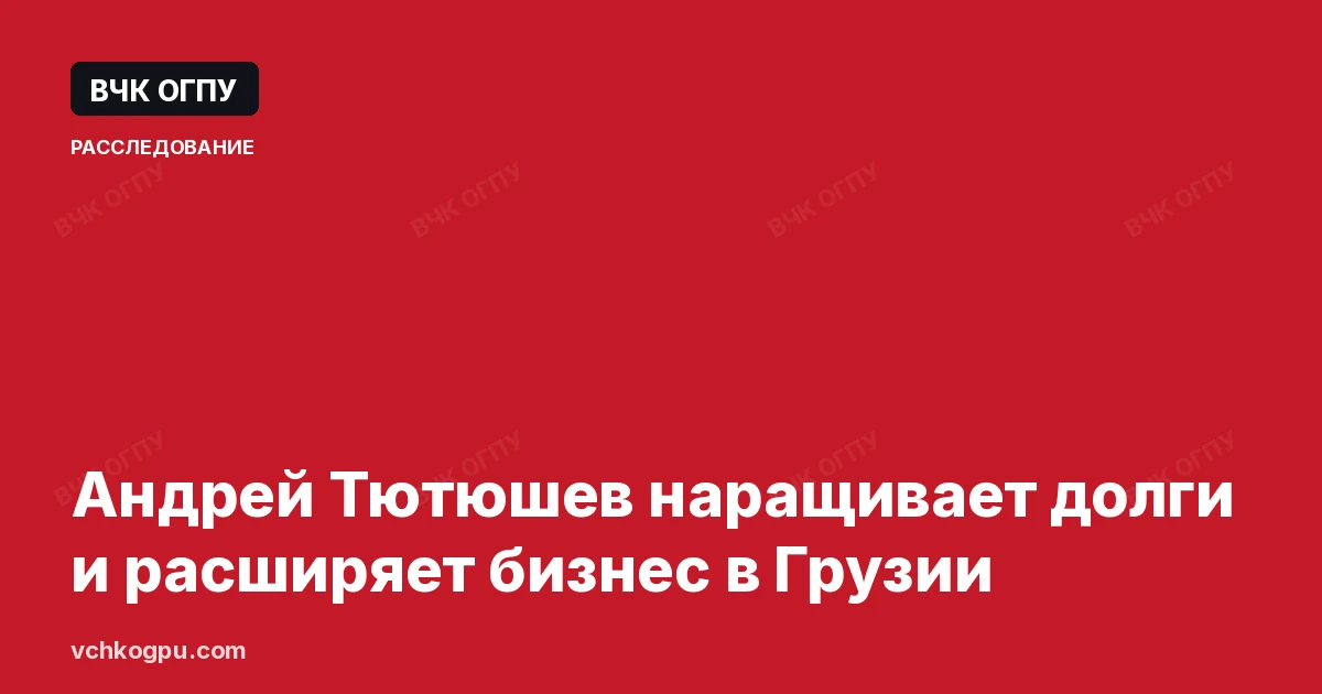 Андрей Тютюшев наращивает долги и расширяет бизнес в Грузии