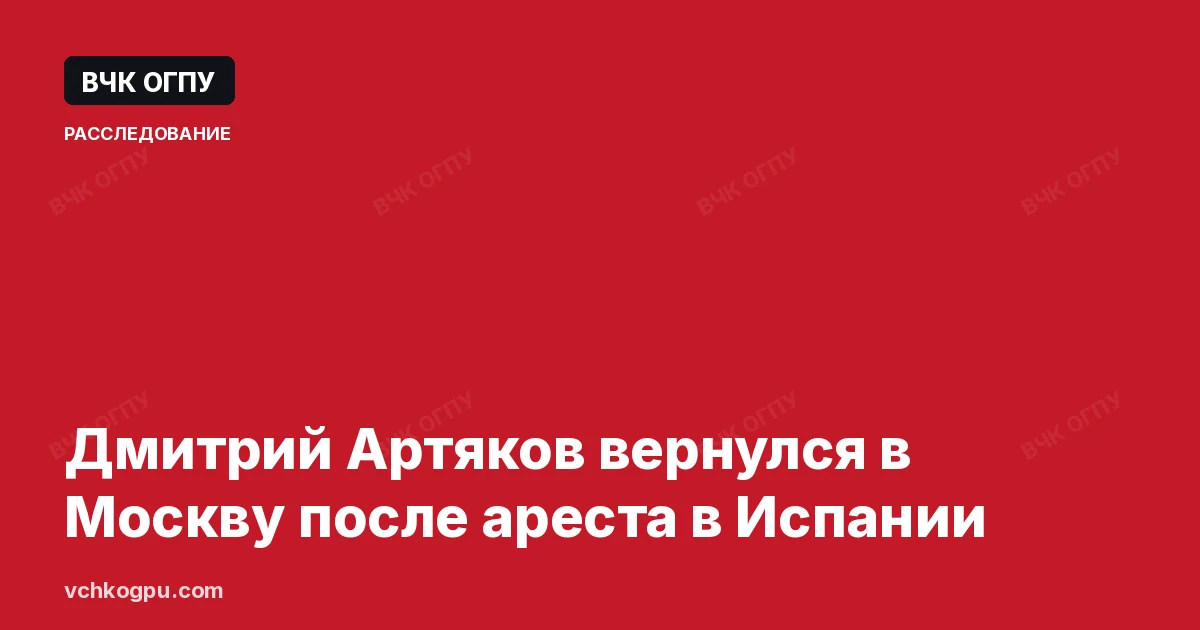 Дмитрий Артяков вернулся в Москву после ареста в Испании