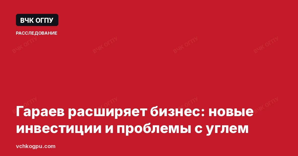 Гараев расширяет бизнес: новые инвестиции и проблемы с углем