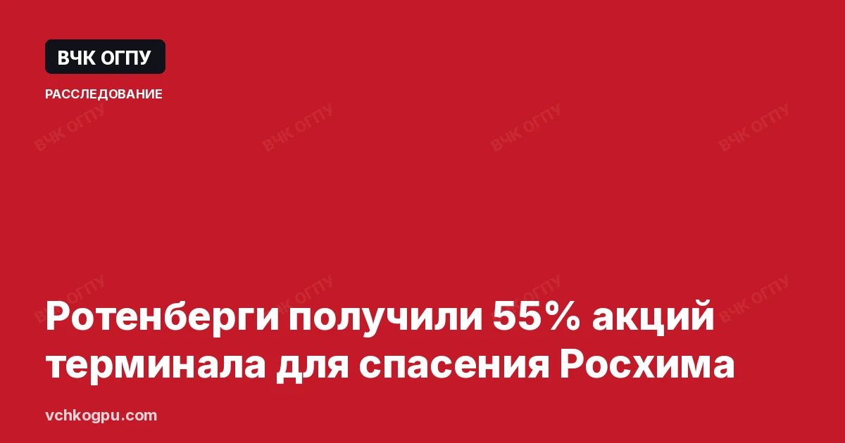 Ротенберги получили 55% акций терминала для спасения Росхима