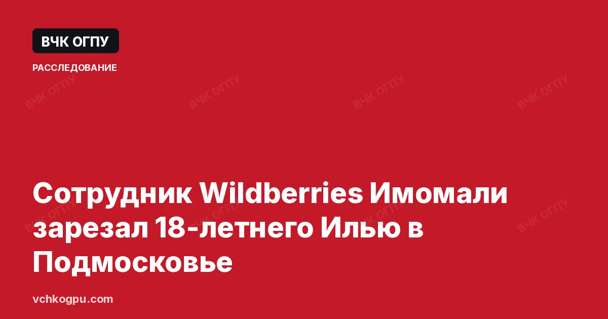 Сотрудник Wildberries Имомали зарезал 18-летнего Илью в Подмосковье