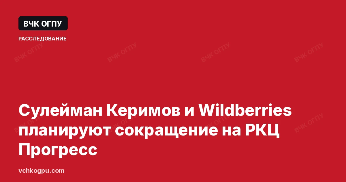 Сулейман Керимов и Wildberries планируют сокращение на РКЦ Прогресс