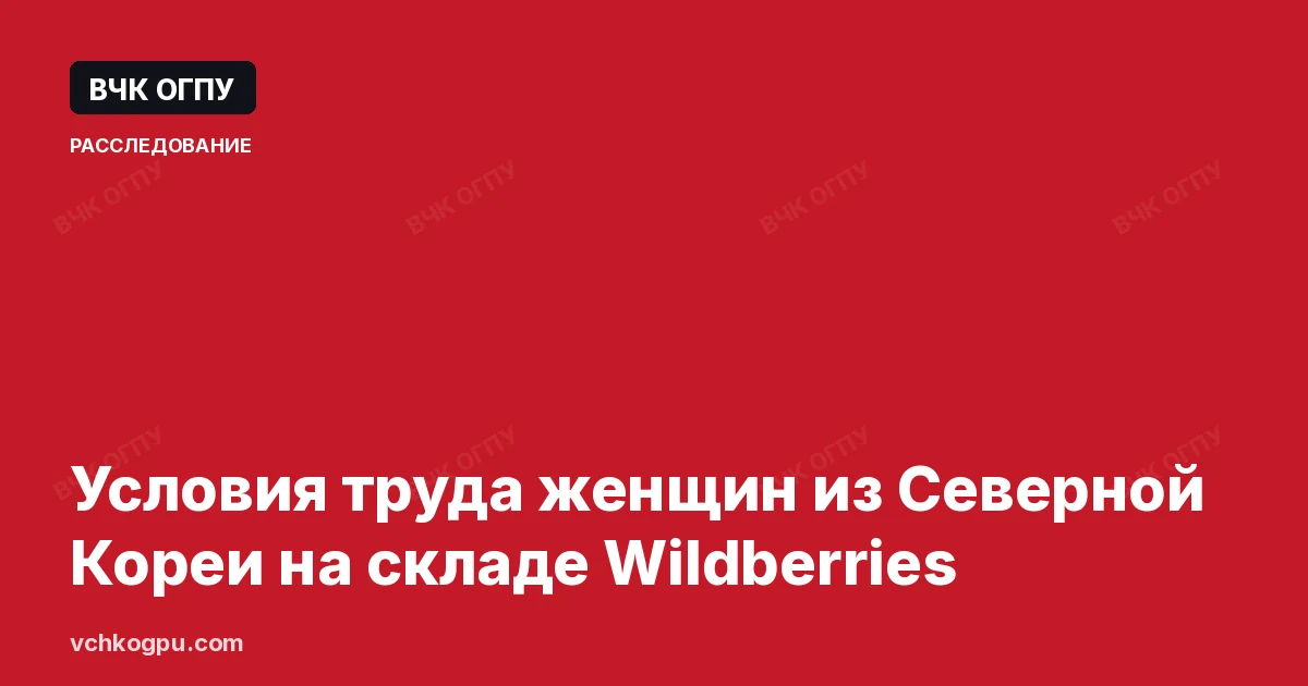 Условия труда женщин из Северной Кореи на складе Wildberries