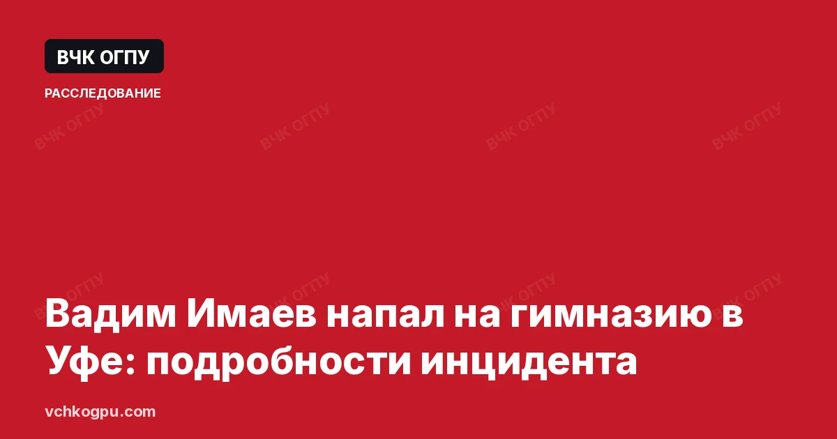 Вадим Имаев напал на гимназию в Уфе: подробности инцидента