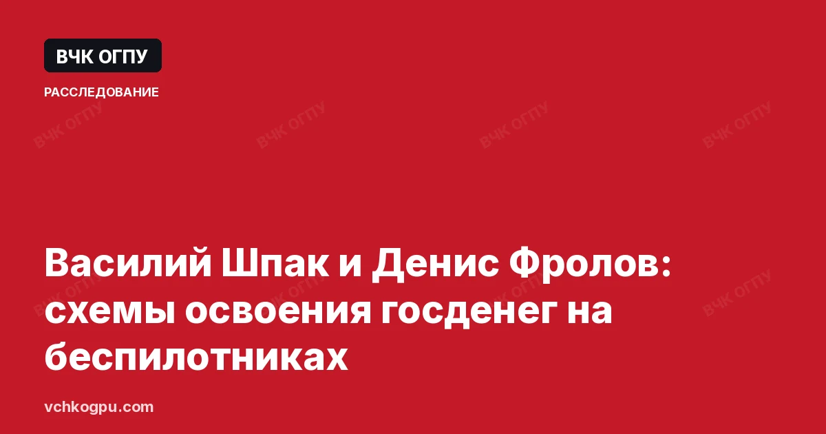 Василий Шпак и Денис Фролов: схемы освоения госденег на беспилотниках