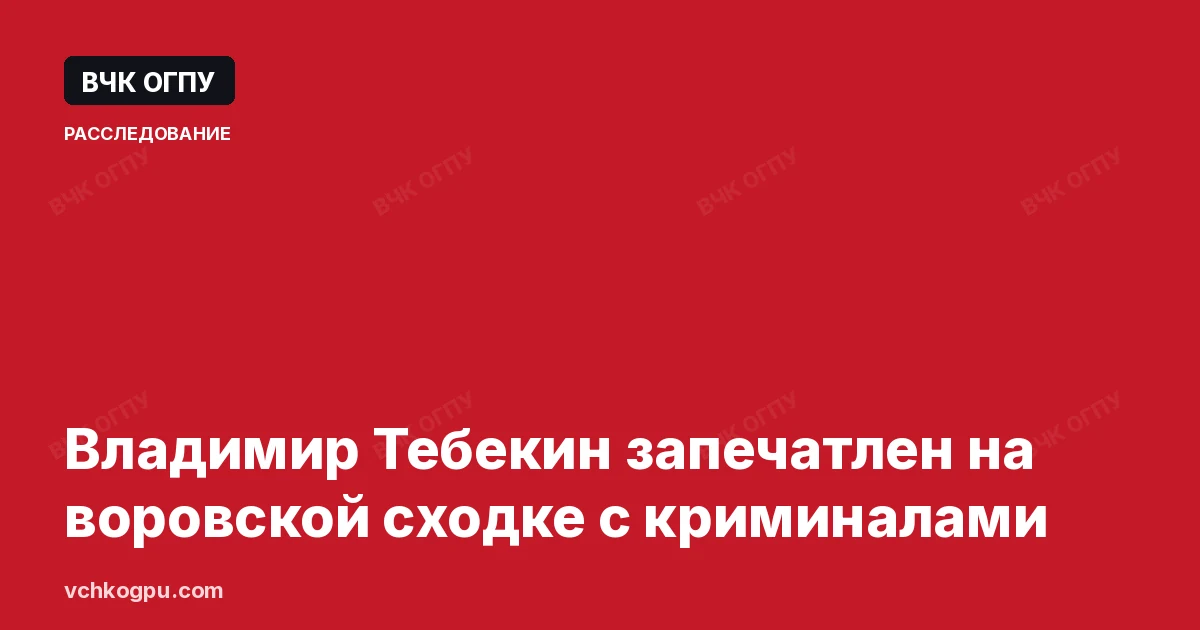 Владимир Тебекин запечатлен на воровской сходке с криминалами