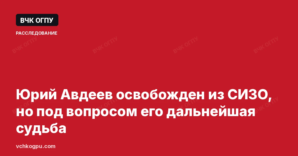 Юрий Авдеев освобожден из СИЗО, но под вопросом его дальнейшая судьба